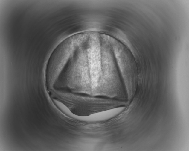 X0000088861483200707061042