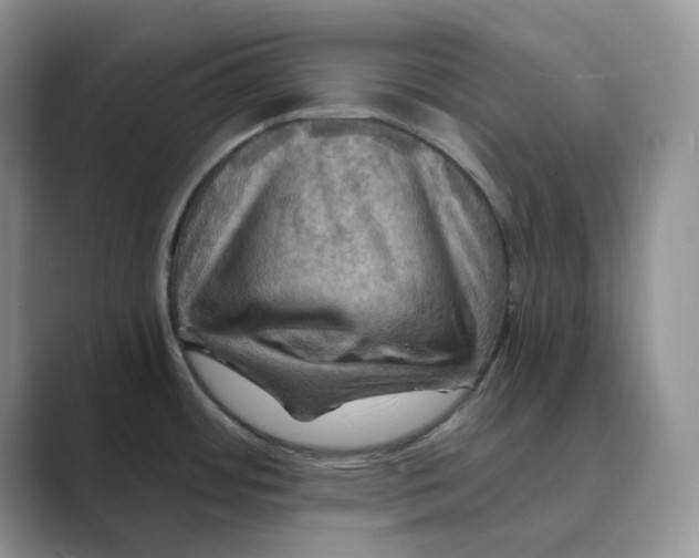 X0000088861484200707061042