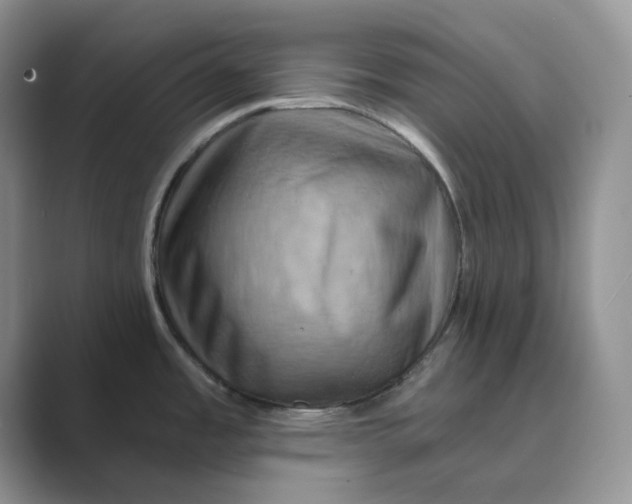 X0000088861485200707061042