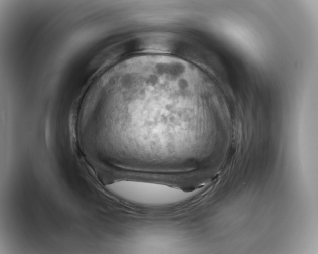 X0000088861487200707061042