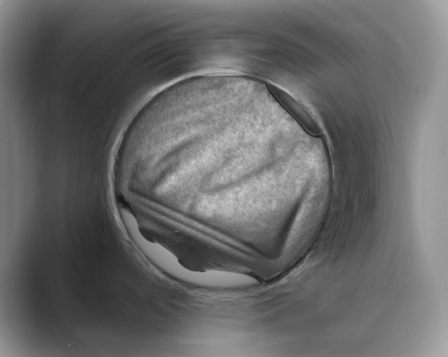 X0000088861488200707061042