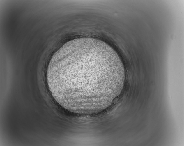 X0000088861489200707061041