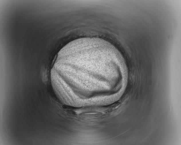 X0000088861490200707061041