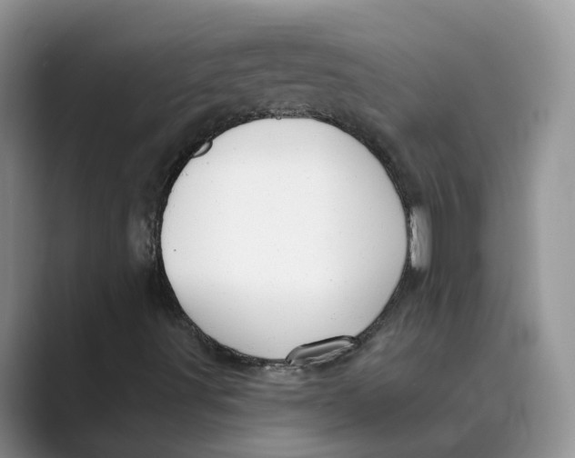 X0000088861491200707061041