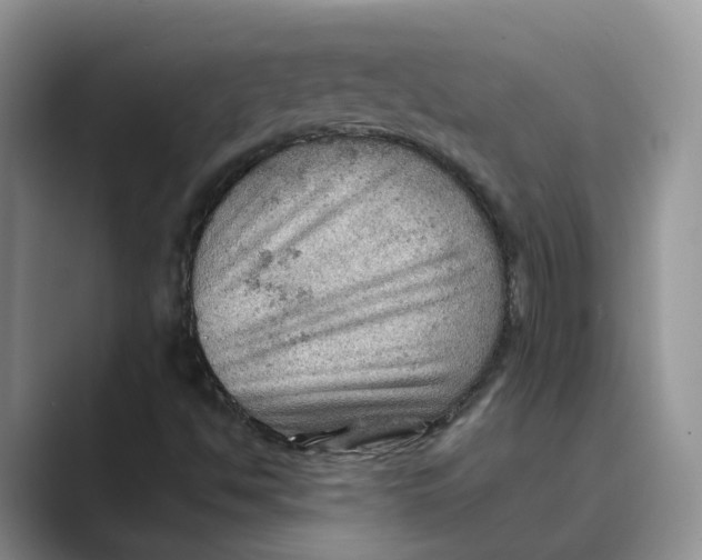 X0000088861494200707061041