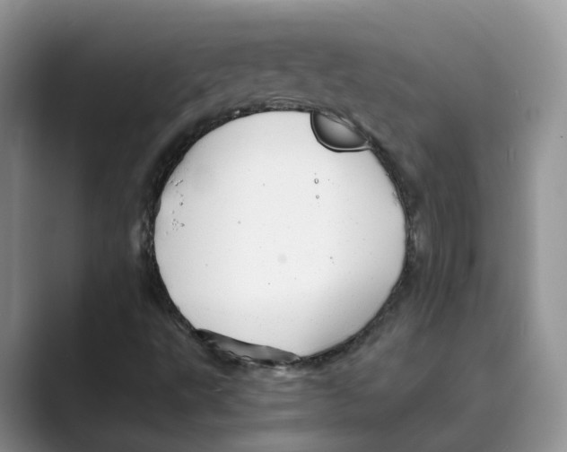 X0000088861495200707061041