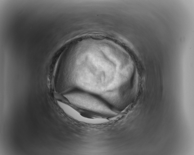 X0000088861496200707061041