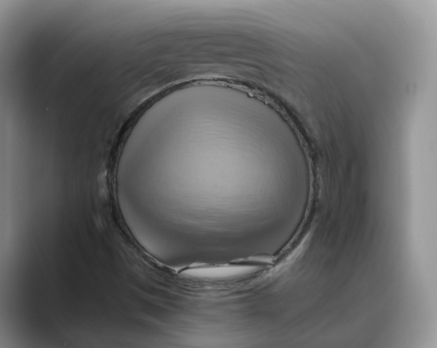 X0000088861497200707061041