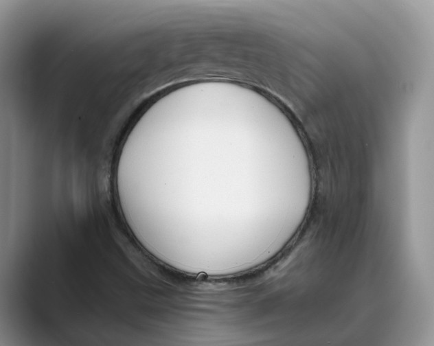 X0000088861499200707061041