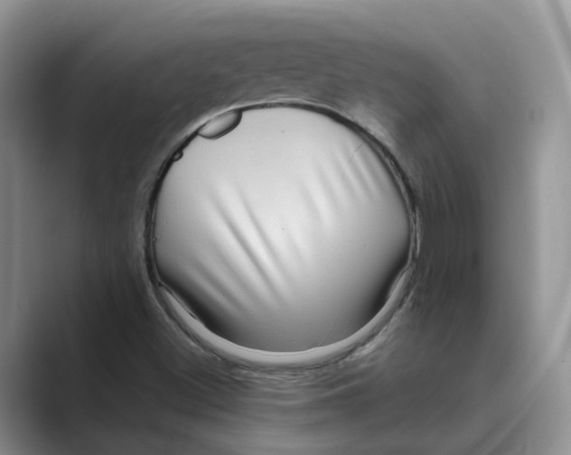 X0000088861500200707061041