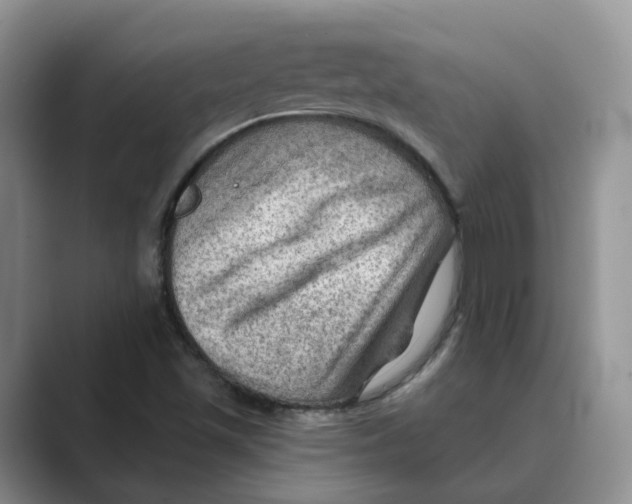 X0000088861501200707061041