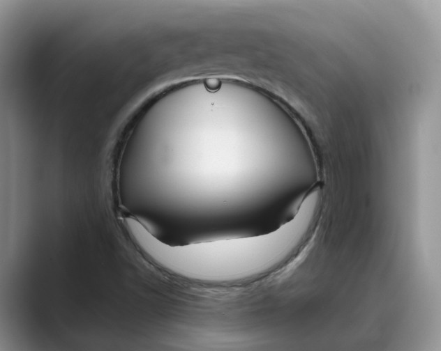 X0000088861502200707061041