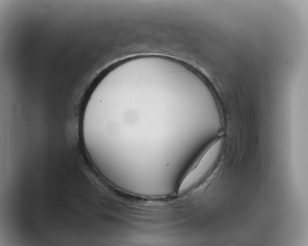 X0000088861503200707061041