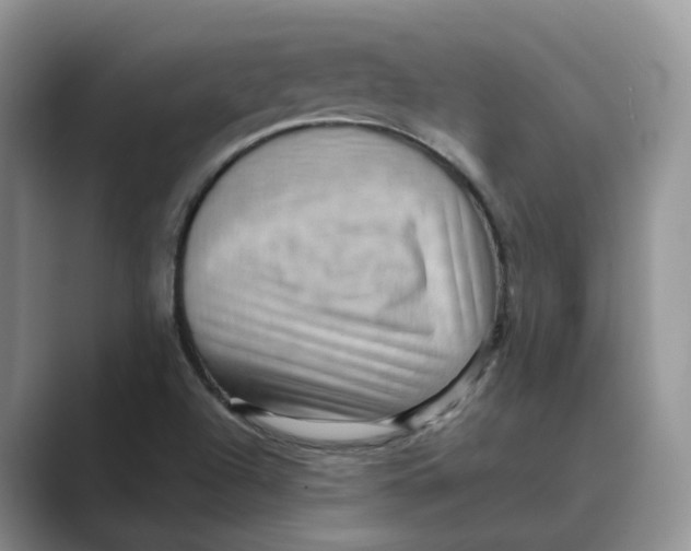 X0000088861504200707061041