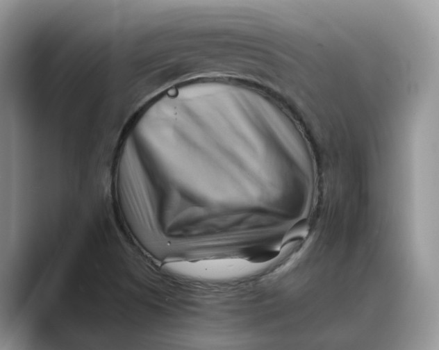 X0000088861505200707061041