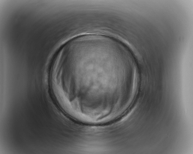 X0000088861506200707061041