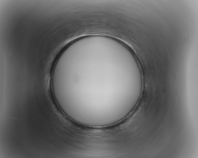 X0000088861507200707061041