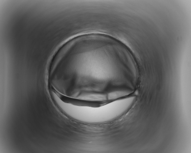 X0000088861508200707061041