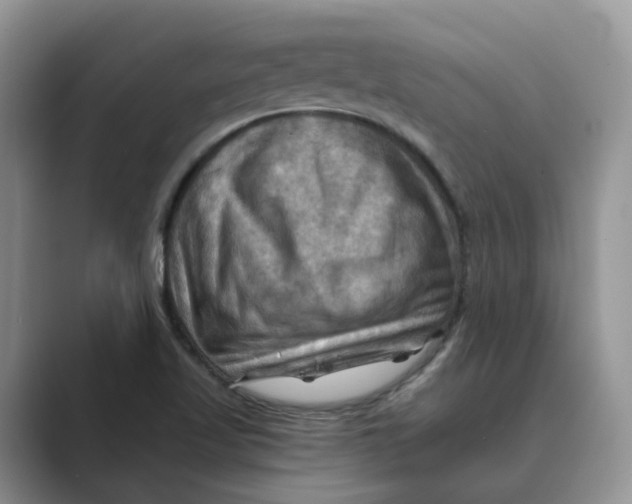 X0000088861509200707061041