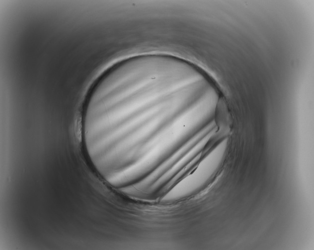 X0000088861510200707061041