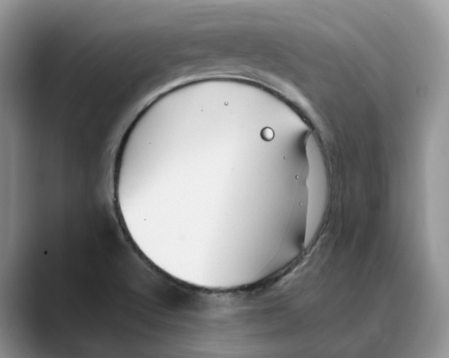 X0000088861512200707061041