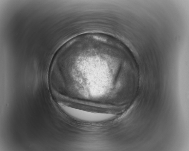 X0000088861513200707061041