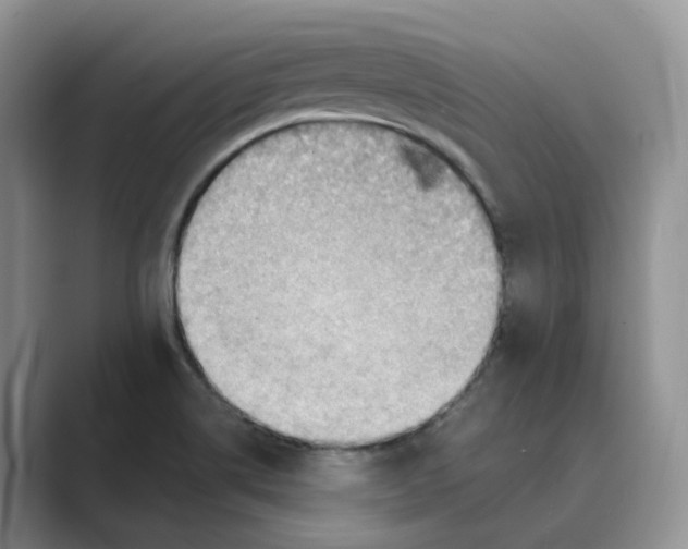 X0000088861514200707061041