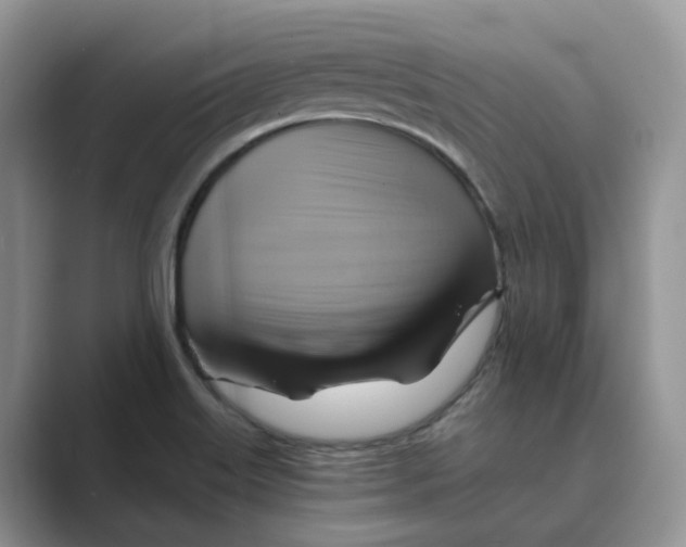 X0000088861515200707061041