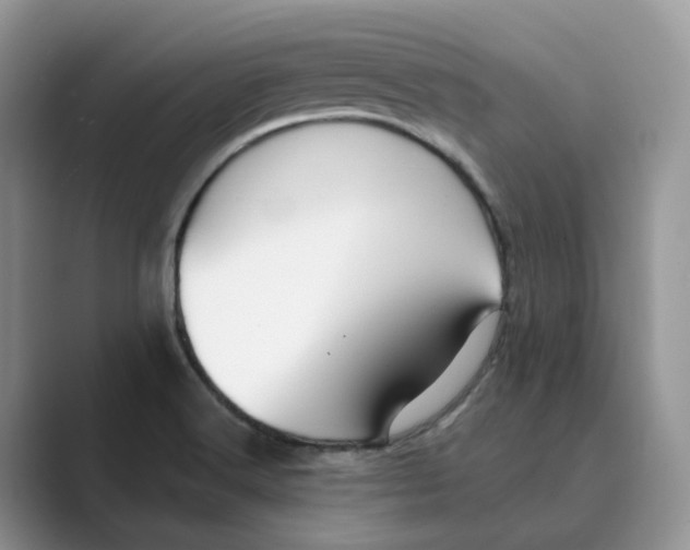 X0000088861516200707061041