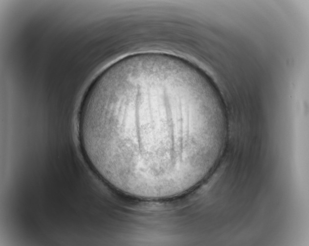 X0000088861517200707061041