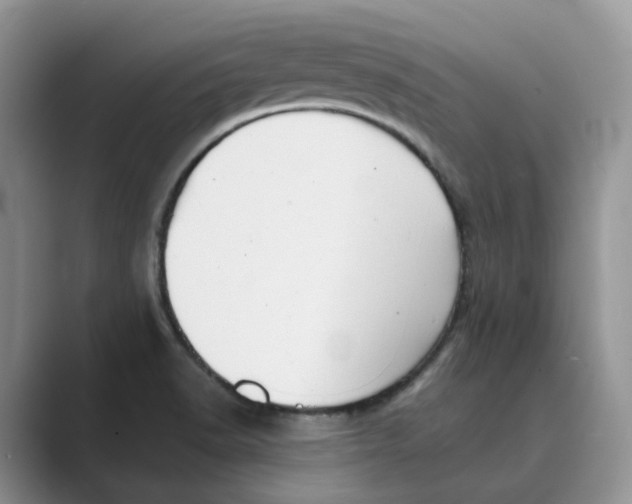 X0000088861518200707061041