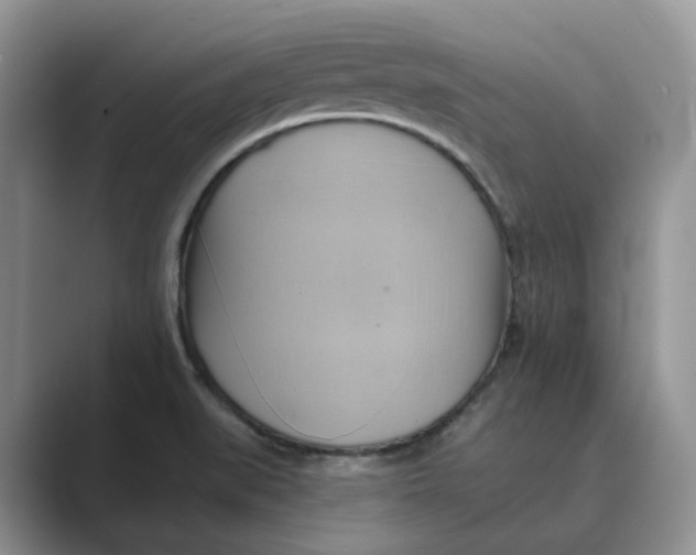 X0000088861519200707061042