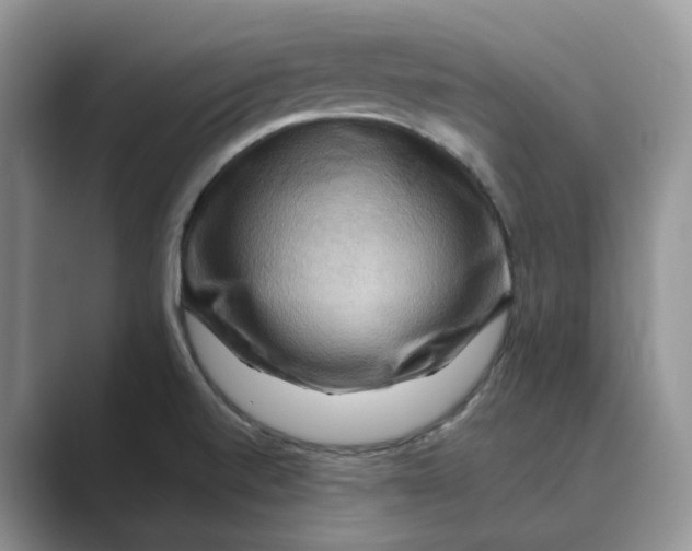 X0000088861520200707061042