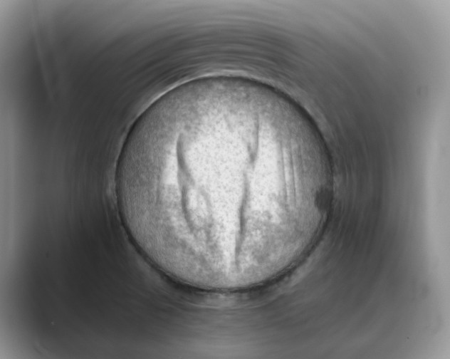 X0000088861521200707061042