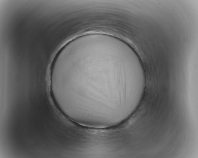 X0000088861522200707061042