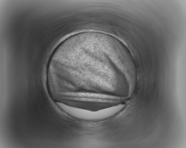 X0000088861523200707061042