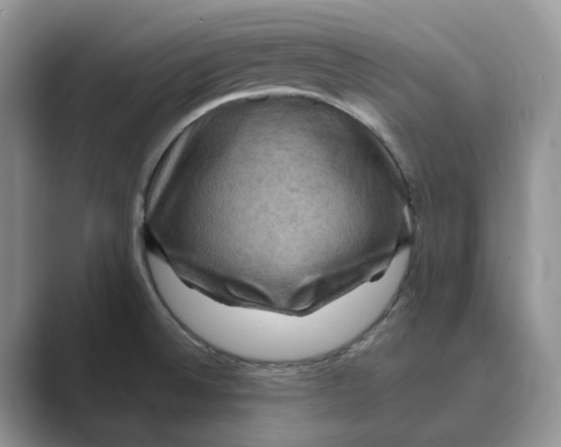 X0000088861524200707061042