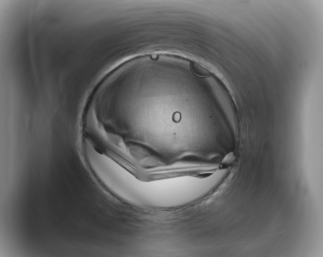 X0000088861525200707061042