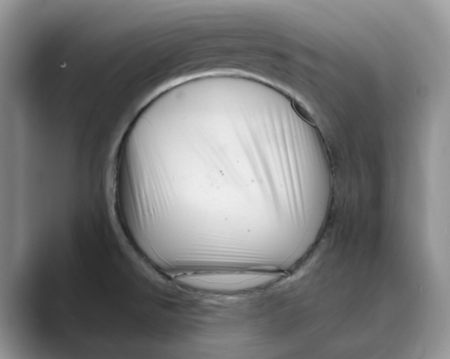 X0000088861526200707061042