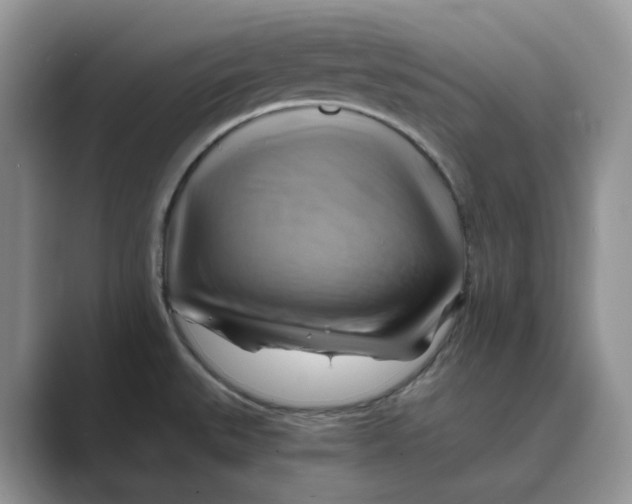 X0000088861527200707061042