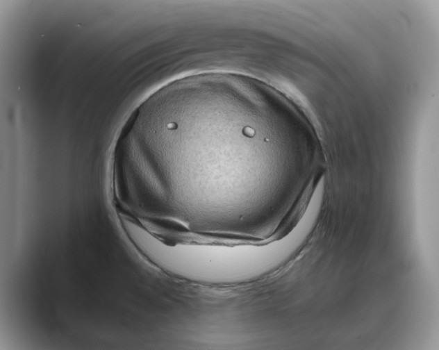 X0000088861528200707061042