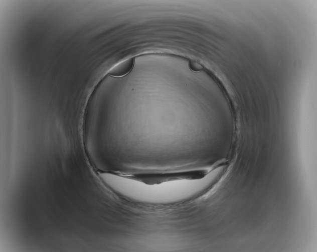 X0000088861529200707061042