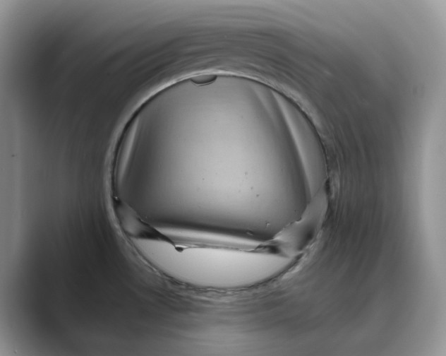 X0000088861530200707061042