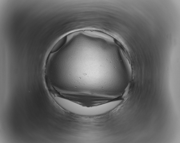 X0000088861532200707061042