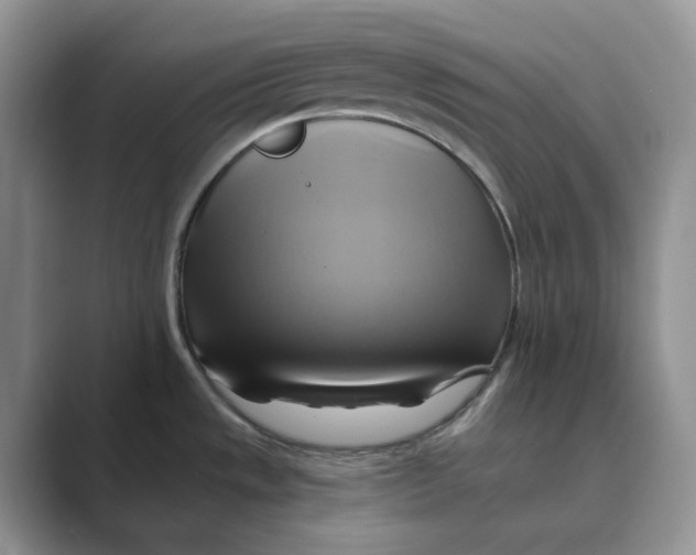 X0000088861533200707061042