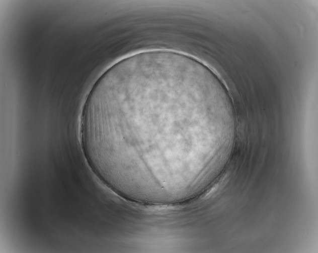 X0000088861535200707061042