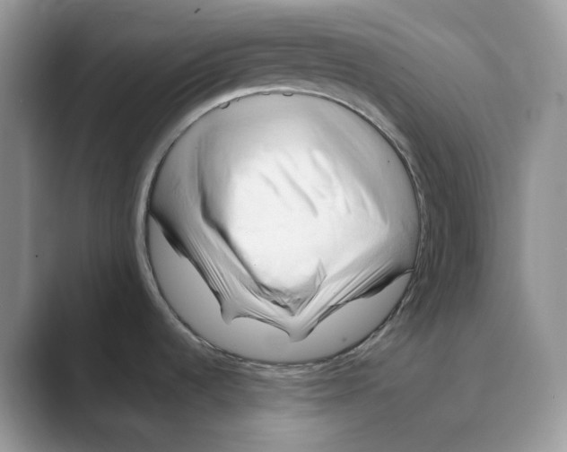 X0000088861536200707061042