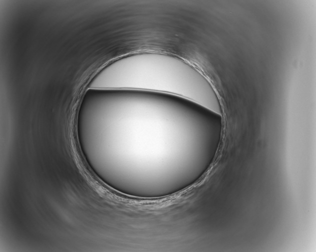 X0000088870001200706080730
