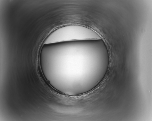 X0000088870002200706080730