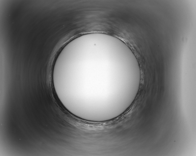 X0000088870004200706080730